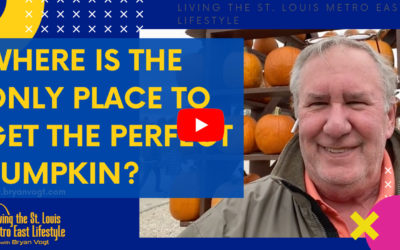 Where is the only place to get the perfect pumpkin?