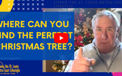 Where can you find the perfect Christmas tree?
